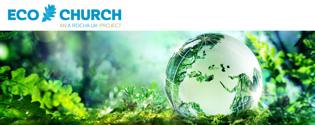 Eco church logo and graphic
